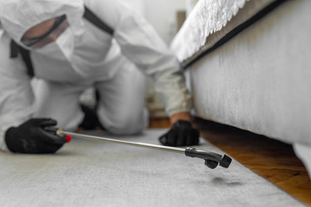 Professional Bed Bug Control technician working in East Spencer, NC