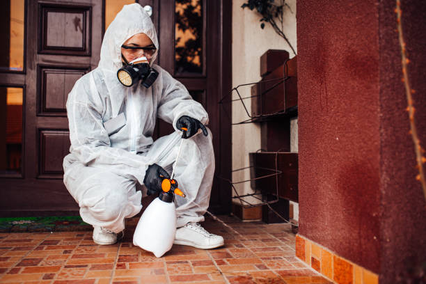Reliable Bed Bug Control contractor in East Spencer, NC by Nex Pest Control