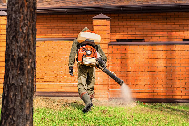 Trusted Bed Bug Control service in East Spencer, NC - Nex Pest Control